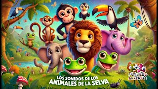 🦜 Sonidos de los Animales de la Selva 🦁 Canciones infantiles 🐒 Pequeño aprendiz TV [upl. by Suiratnauq11]