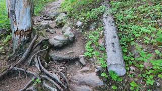 Hiking  Angleworm Trail CCW from Campsite 1900 to the Angleworm Lake Portage Landing in the BWCA [upl. by Kingdon]