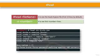 10 Print First Lines with head Command [upl. by Ross]