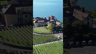 Lavaux Vineyard Terraces in Switzerland [upl. by Llehcor]