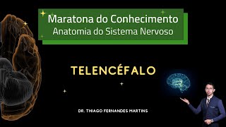 Anatomia do Sistema Nervoso TELENCÃ‰FALO [upl. by Alarice677]