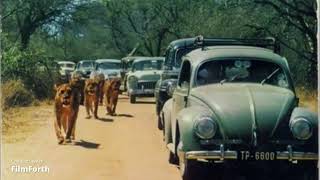 Kruger National Park History [upl. by Adym]