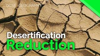 Reducing the risk of desertification  AQA GCSE 91 Geography [upl. by Elconin894]