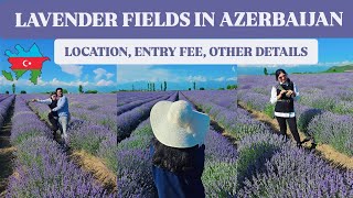 AZERBAIJANS BEST KEPT SECRET 🇦🇿  DO NOT MISS THIS IN GABALA  ESSENSO LAVENDER FIELDS [upl. by Adrien]