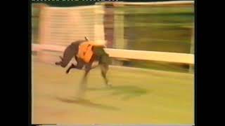 1985 TV TROPHY FINAL  SCURLOGUE CHAMP [upl. by Trella]