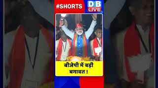 बीजेपी में बड़ी बगावत shorts ytshorts shortvideo breakingnews dblive [upl. by Nwahsuq]