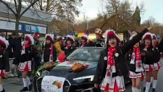 Karneval Fasching Fasnet Fastnacht 2024Gundelsheim Germany part2 [upl. by Atrebla]