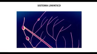 Rehabilitación post mastectomía radical linfedema dolor neuropático [upl. by Gardell]