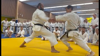 Rick Hotton sensei Thats the Feeling France 2023 [upl. by Sand]