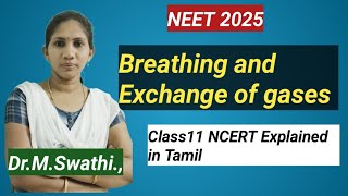 Breathing and Exchange of Gases Class 11 Biology  ONE SHOT Tamil [upl. by Berner]