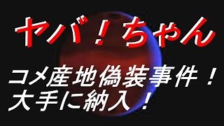 【ヤバ！】米産地偽装事件！中国産を国産！イオン・フジパンに納入！ [upl. by Aihsekyw]