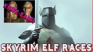 Pelinal Whitestrake Breaks Down Elf Races of Skyrim [upl. by Xyla671]