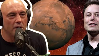 Elon Musk Will Owne Mars  Joe Rogan [upl. by Yellek775]