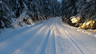 Sledding crow foot and hunters range and off road around enderby bc  Canadian Haywire [upl. by Eilyw]