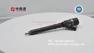 Common Rail Injector Nozzle 0 445 110 729 for BOSCH HYUNDAI KIA 3380027900 [upl. by Darwin50]