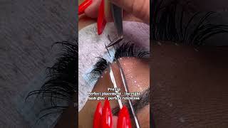 Lash placement lashing lashes lashartist [upl. by Notsuj3]