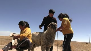 si no fuera por mi esposa la vecina se quedaba con mi dinero [upl. by Ttnerb92]