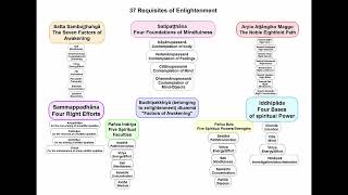 The 37 Requisites of Enlightenment [upl. by Inalel462]