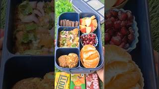 Tuesday🥰😍lunch box kids school tifin box lunch box🗃 ytshorts video shorts [upl. by Meng469]