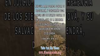 3 Versículos Hermosos De La Biblia Vers 1 new shortsvideos [upl. by Nailimixam]