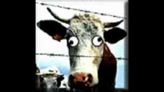 How to identify mad cow disease [upl. by Adnuhsar]