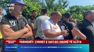 Fermerët e Korçës sërish në protestë për prodhimet stok Raporton Sidorela Xhomaqi 31072024 [upl. by Otrebtuc]