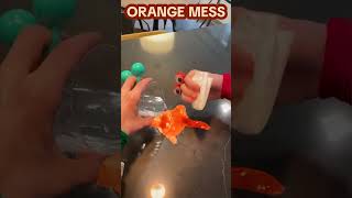 MAKING AN ORANGE MESS shorts [upl. by Terrill]