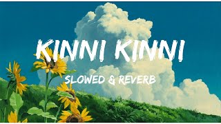 Kinni Kinni Slowed amp Reverb Diljit Dosanjh [upl. by Nailuj]