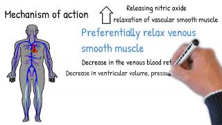 Nitroglycerin  antianginal drug indication adverse effects [upl. by Axel729]