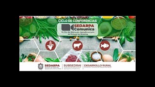 Curso Plantaciones Forestales Comerciales una alternativa a la sustentabilidad [upl. by Dotti]