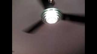 2011 52quot Harbor Breeze Signal Hill Ceiling Fan [upl. by Linson]