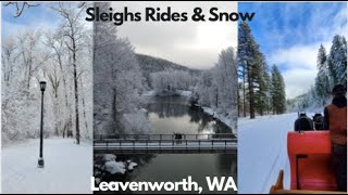 Day 3 in Leavenworth WA  Sleigh Rides Beautiful Snow amp Shopping [upl. by Ynahpit]