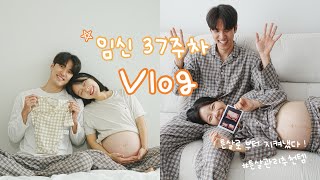 My diary11 임신37주차기록  막달까지 튼살 지켜낸 꿀팁  튼살크림추천  치골통환도선다 회복 🫶🏻  장인약과를 맛보다  남편과 먹기만 하는 일상 🐷 [upl. by Acisey]