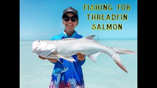 How to Catch Clean and Cook Threadfin Salmon  Broome Western Australia [upl. by Olyhs]