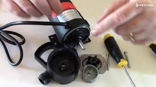 Basic repair of Pentair Flotec FP0F360AC CYCLONE™ Water Removal Utility Pump [upl. by Hildegarde914]