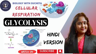 Glycolysis pathway made simple l EMP Pathway l Cellular Respiration in hindi l [upl. by Seto]