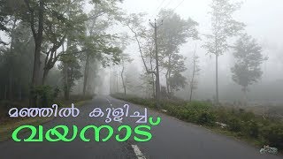 Wayanad Muthanga  Gundlupet forest road trip [upl. by Adnaloj312]