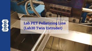 Lab PET Pelletizing Line Lab30 Twin Extruder  USEON [upl. by Mcgruter75]