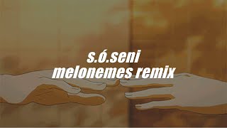 aro  sóseni melonemes remix [upl. by Forward]