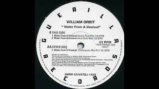 William Orbit  Water From A Vine Leaf Xylem Flow Mix [upl. by Eikin]