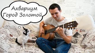 Аквариум  Город Золотой guitar cover [upl. by Nayrbo]