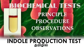 INDOLE PRODUCTION TEST  PRINCIPLE amp PROCEDURE BIOCHEMICAL TESTS IDENTIFICATION OF BACTERIA TAMIL [upl. by Wesley]