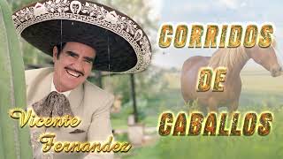 Vicente Fernandez Exitos De Oro  Vicente Fernandez Corridos De Caballos Mix [upl. by Cressida674]