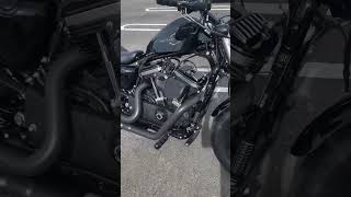 HARLEY DAVIDSON CUSTOM SPORTSTER 1200V COLD START 🥶 harleydavidsonpeople sportster shosrts 10k [upl. by Lazor]