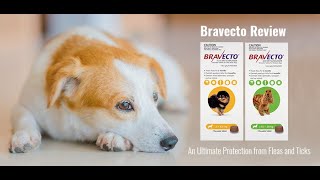 Different Pack Size of Bravecto Flea and Tick Treatment for Dogs  VetSupply [upl. by Kcinimod]