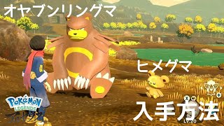 【ポケモンアルセウス】【実況】リングマ・ヒメグマ入手方法 [upl. by Attenat]