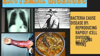 Communicable Diseases GCSE [upl. by Assiled828]