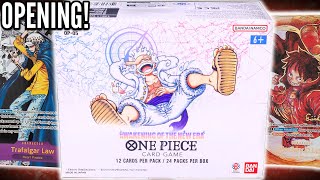 Unboxing The Official One Piece Set 5 Booster Box Awakening Of A New Era [upl. by Nnylecoj]