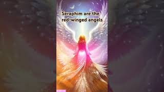 Seraphim an Angel shortvideo shortfeed [upl. by Catharina]