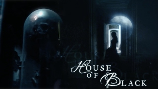 the noble house of black [upl. by Amathiste]